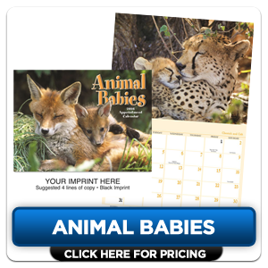 Personalized Calendars - Animal Babies!